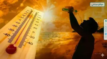 الأرصاد تحذر من طقس شديد الحرارة غدًا على أغلب المحافظات